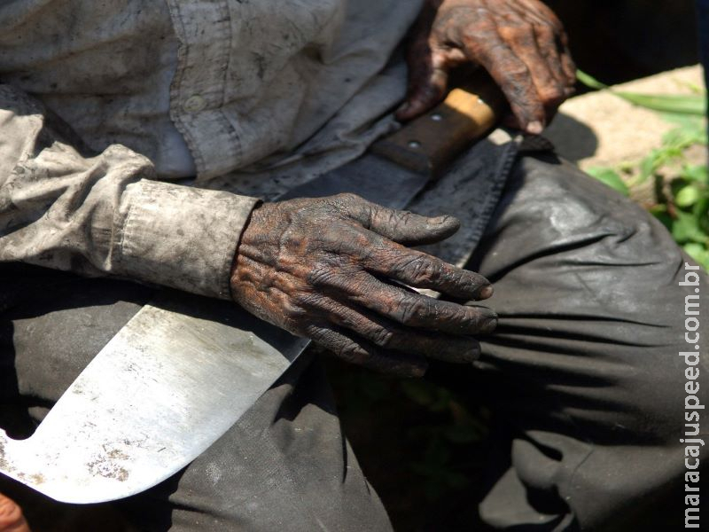 Fiscalização do trabalho alcança mais de 35 milhões de trabalhadores em 2019