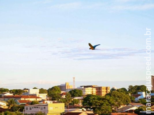 Inmet prevê quinta-feira de céu parcialmente nublado e máxima de 32°C em MS