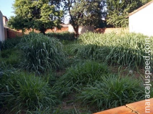 Mãe e filho são presos pela morte de servente encontrado em terreno baldio Mãe e filho são presos pela morte de servente encontrado em terreno baldio