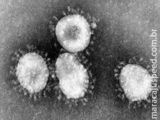 Novo coronavírus já infectou mais de 80 mil pessoas em todo o mundo; confira panorama atual Novo coronavírus já infectou mais de 80 mil pessoas em todo o mundo; confira panorama atual