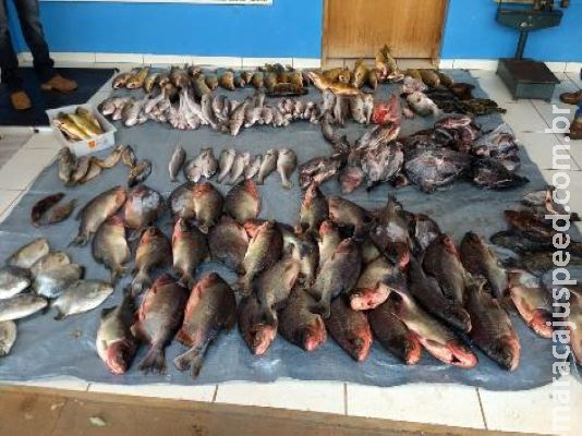 Pesca volta, mas com restrições no Estado Pesca volta, mas com restrições no Estado