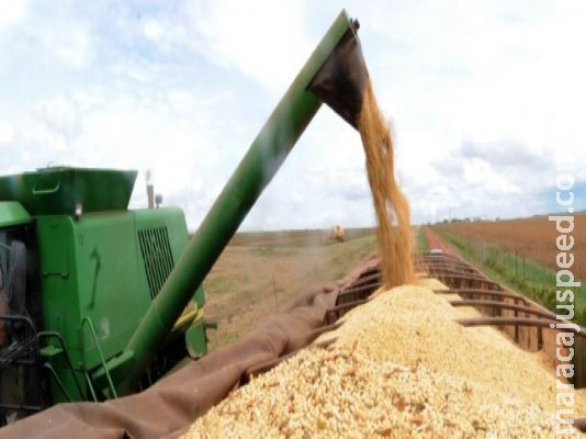 PIB de MS deve crescer 8,8% e superar os R$ 100 bilhões PIB de MS deve crescer 8,8% e superar os R$ 100 bilhões