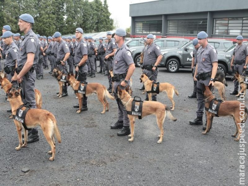 Projeto cria programa de proteção e assistência para policiais e bombeiros