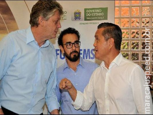 Safra de soja 2019/20 pode chegar a 10 milhões de toneladas e bater recorde