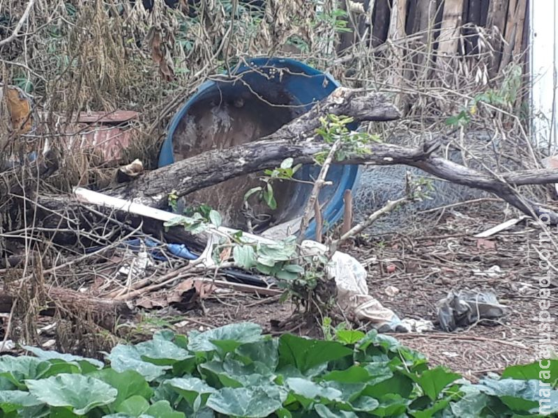 Saúde mobiliza força-tarefa contra a dengue na Vila Donária em Bonito