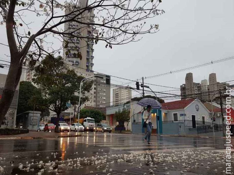 Segunda-feira de Carnaval tem previsão de chuvas isoladas em MS Segunda-feira de Carnaval tem previsão de chuvas isoladas em MS