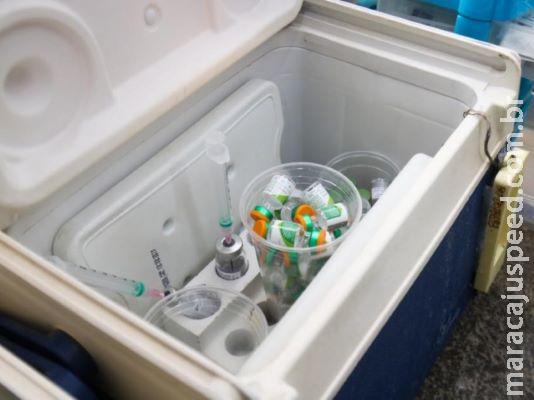 Vacina mais eficaz contra pneumonia é testada em humanos Vacina mais eficaz contra pneumonia é testada em humanos
