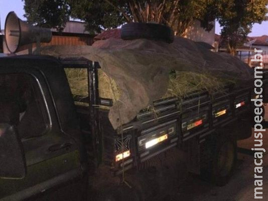 Vendedor de frutas é preso suspeito de abusar de crianças de 8 e 9 anos Vendedor de frutas é preso suspeito de abusar de crianças de 8 e 9 anos