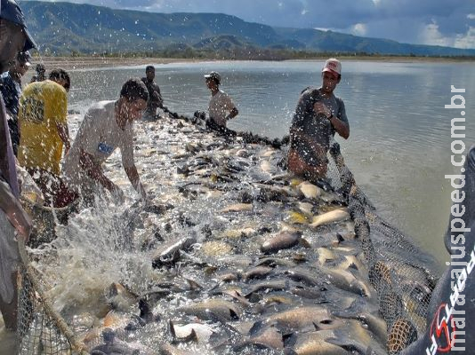 Aquicultores podem solicitar uso de águas da União pela internet