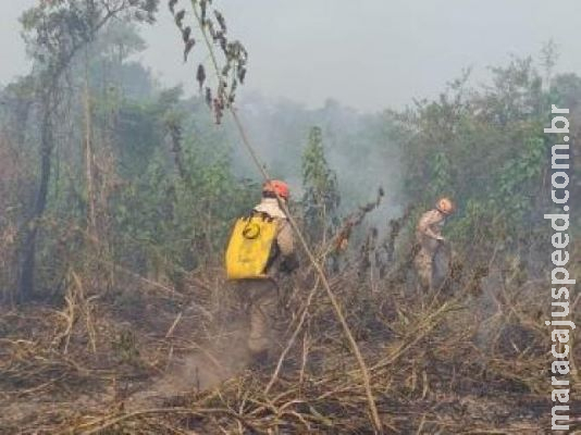 Combate a incêndios no Pantanal podem durar até o final de semana Combate a incêndios no Pantanal podem durar até o final de semana