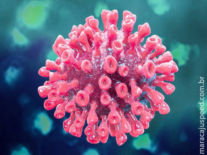 Coronavírus: Além de 1ª morte confirmada, mais 4 óbitos são monitorados em SP
