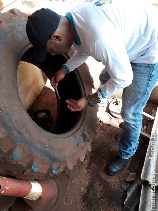 Dourados confirma 556 casos de dengue e 185 notificações aguardam resultado