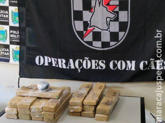 Dupla é presa após flagrante de droga em ônibus que saiu da fronteira