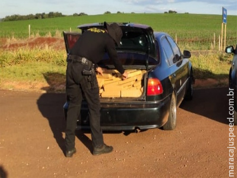 Maracaju: Honda Civic com mais de 300 quilos de maconha foi apreendido pelo DOF. Droga iria para Sidrolândia