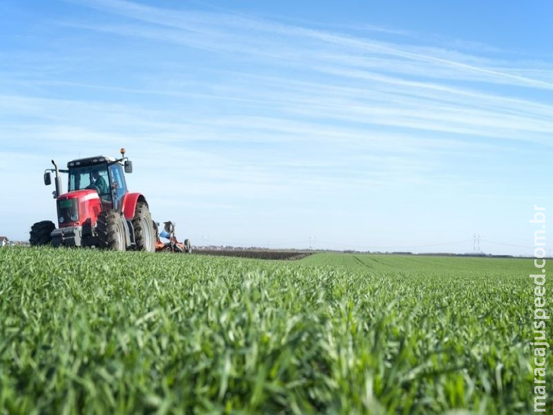 Ministério da Agricultura define atividades e serviços essenciais durante a pandemia do Coronavírus