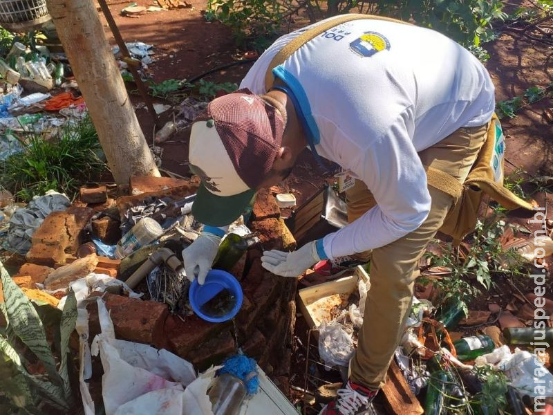MS tem 13,6 mil casos de dengue e 19 mortes MS tem 13,6 mil casos de dengue e 19 mortes