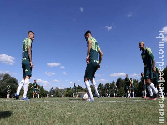 Palmeiras estreia na Libertadores contra argentinos Palmeiras estreia na Libertadores contra argentinos