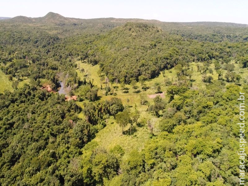 Polícia Militar Ambiental de Cassilândia autua goiano em R$ 26,5 mil por desmatamento ilegal de área protegida de reserva legal em sua propriedade em Inocência