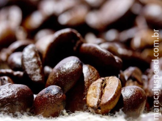 Preço mínimo do café é reajustado para safra 2020/2021