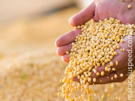Produção de grãos deve alcançar recorde de 251,9 milhões de toneladas