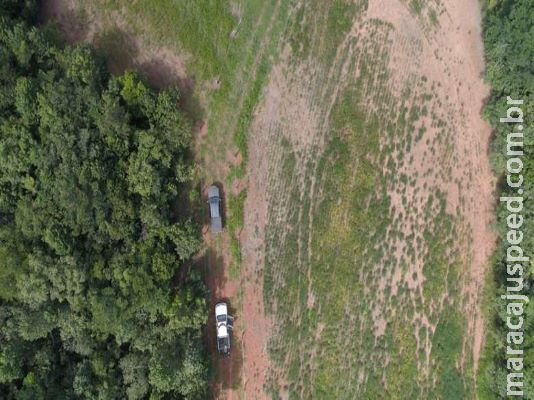 Proprietário rural é multado após crime ambiental ser provado com ajuda de drone Proprietário rural é multado após crime ambiental ser provado com ajuda de drone