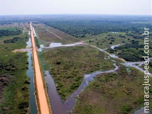 Rodovia de 450 quilômetros para escoar grãos é considerada ameaça ao Pantanal 