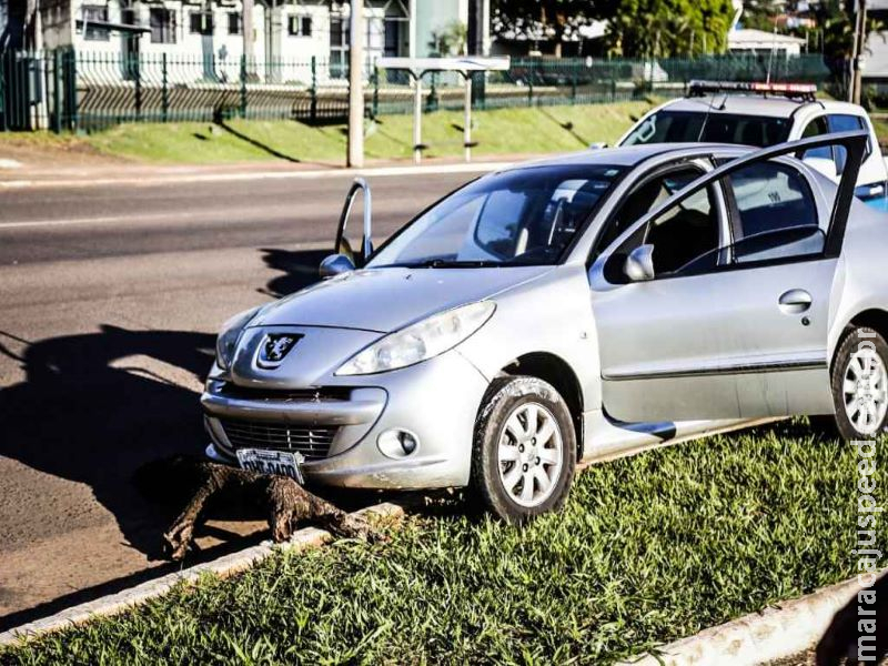 Sextou: PM tenta por 40 minutos acordar motorista bêbado na Gury Marques Sextou: PM tenta por 40 minutos acordar motorista bêbado na Gury Marques