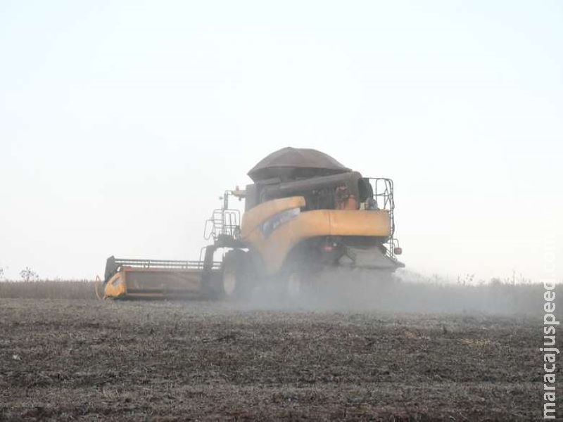 Soja produz mais do que o esperado e MS estima colher 10 milhões de toneladas