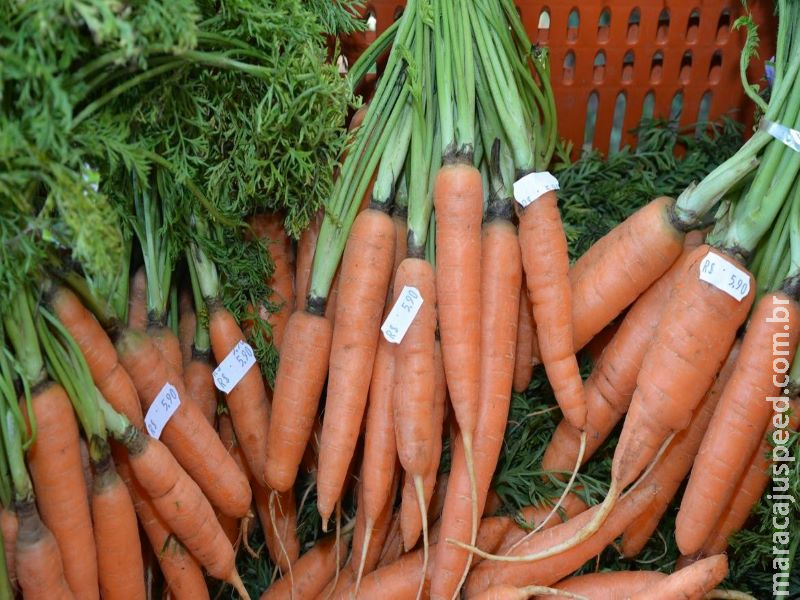 Alimentação saudável não pode ser deixada de lado, dizem especialistas Alimentação saudável não pode ser deixada de lado, dizem especialistas