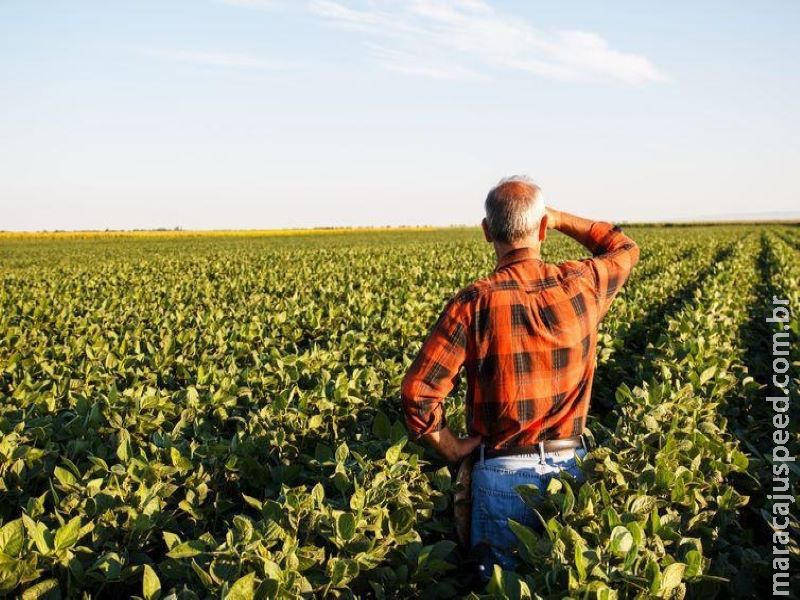 Beneficiários do Proagro poderão comunicar perdas de forma remota