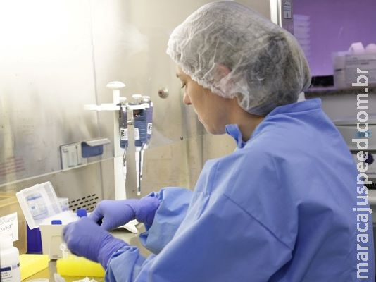Brasil passa dos 66 mil casos confirmados de coronavírus Brasil passa dos 66 mil casos confirmados de coronavírus