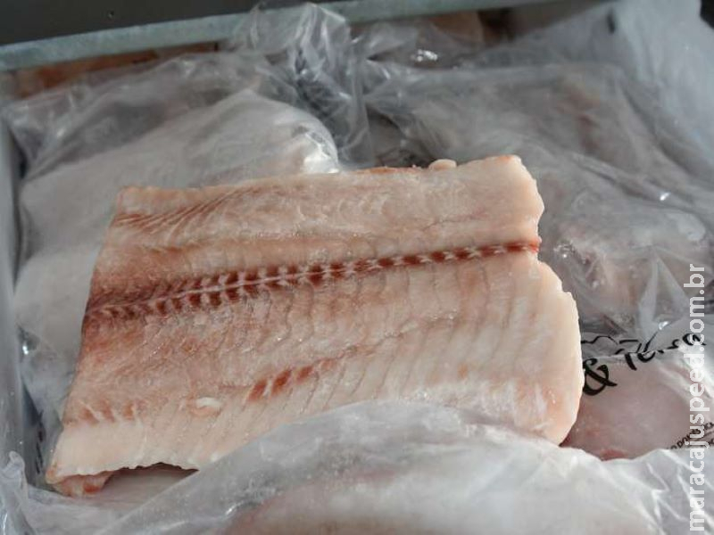 Com preço histórico no filé de pirarucu, Peixaria Pernambuco orienta clientes a anteciparem compras