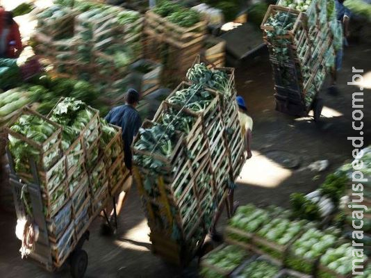 Conab reafirma que não há indícios de desabastecimento no país