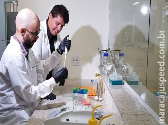 Coronavírus: pesquisa de cientistas de MS será analisada quanto ao seu potencial antiviral