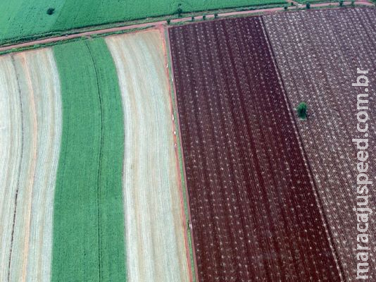 Dependente das chuvas, agricultura de sequeiro tem déficit hídrico de 37% Dependente das chuvas, agricultura de sequeiro tem déficit hídrico de 37%