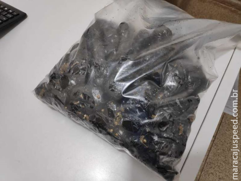 Detendo da PED é abordado com drogas e objetos dentro da cela