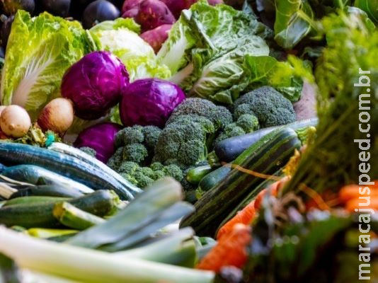 FAO: dicas de uma alimentação saudável para enfrentar a crise da COVID-19 FAO: dicas de uma alimentação saudável para enfrentar a crise da COVID-19