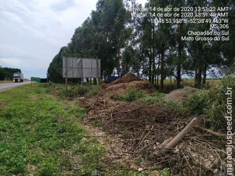 Fundação de pesquisa é autuada por jogar lixo às margens de rodovia Fundação de pesquisa é autuada por jogar lixo às margens de rodovia