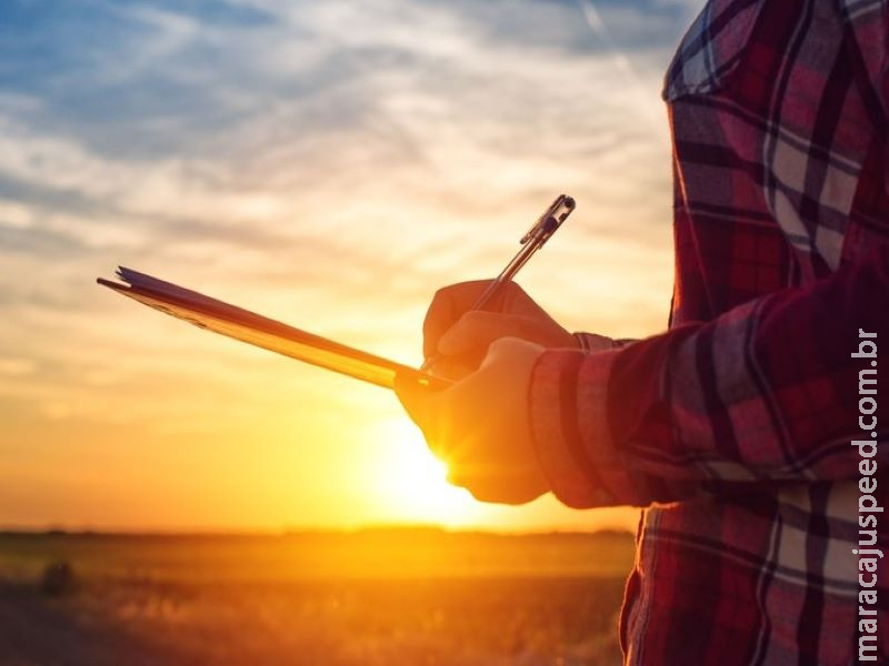 Mapa e Banco Central alertam produtores sobre as mudanças de regras do Proagro