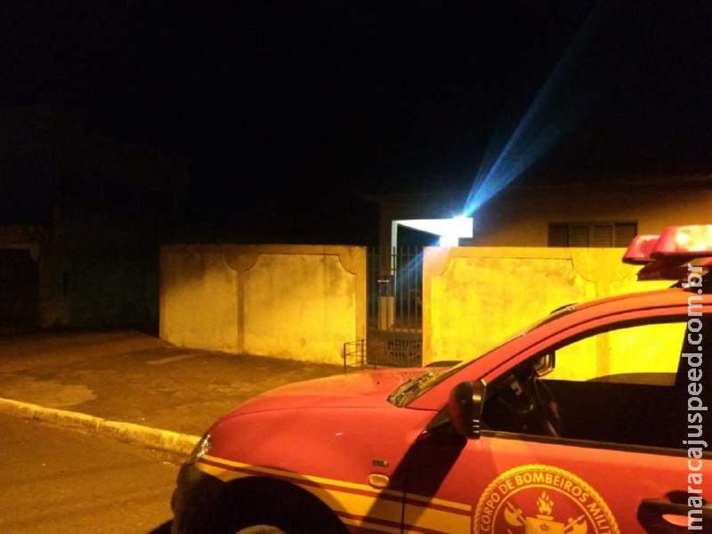 Maracaju: Bombeiros socorrem homem que estava sendo atacado por cachorros na área central Maracaju: Bombeiros socorrem homem que estava sendo atacado por cachorros na área central