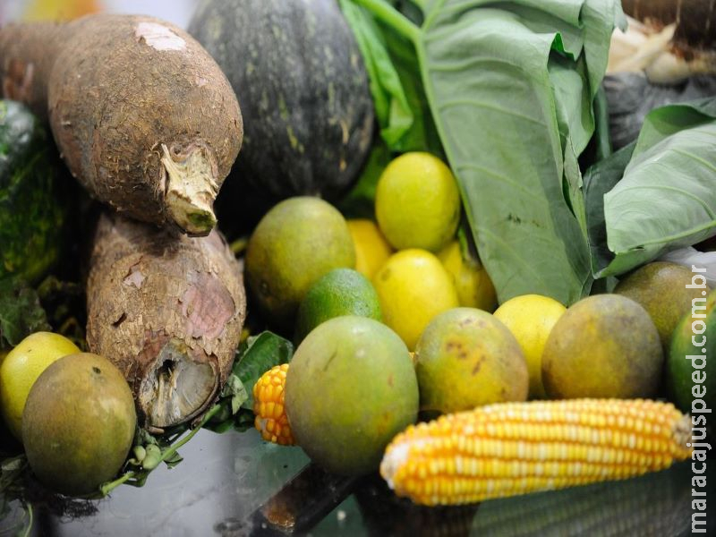 Metade de calorias consumidas por brasileiros vem de alimentos frescos Metade de calorias consumidas por brasileiros vem de alimentos frescos