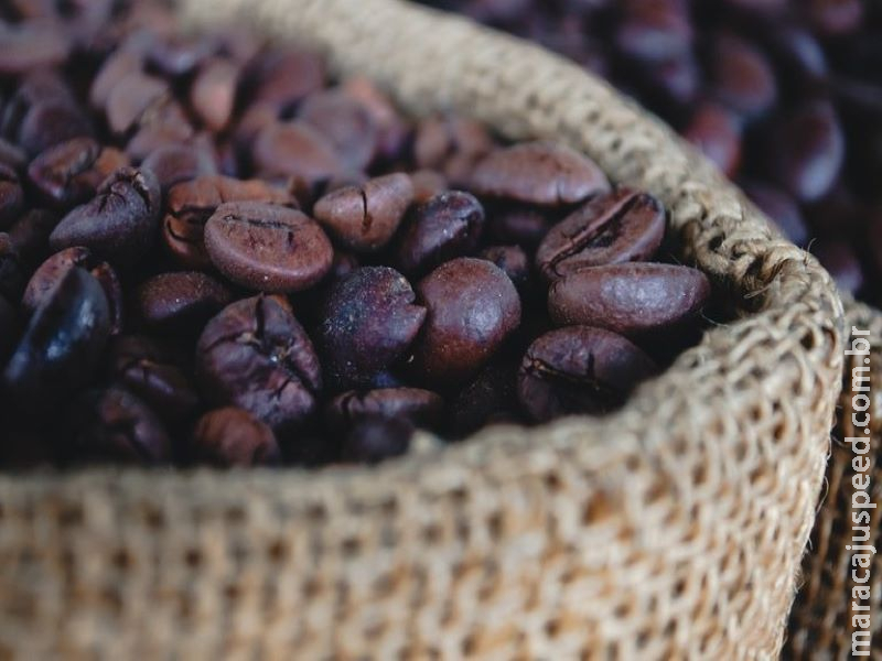 Normas para distribuição dos recursos do Funcafé já estão em vigor Normas para distribuição dos recursos do Funcafé já estão em vigor