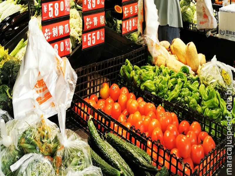 OMC diz que ações conjuntas podem ajudar na recuperação do comércio mundial