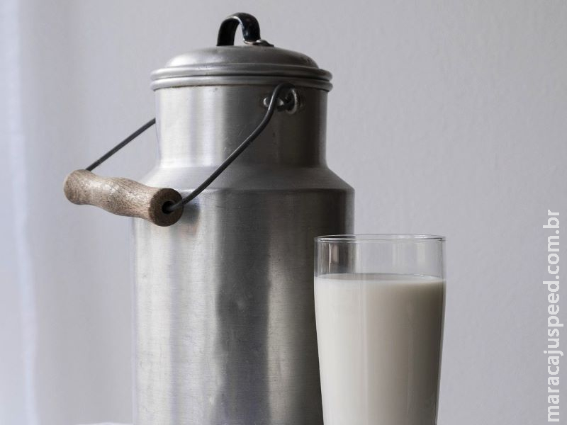 Produção de leite terá desafios diante da crise Produção de leite terá desafios diante da crise