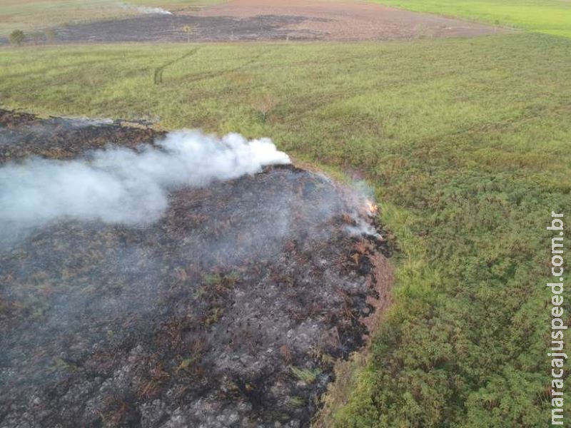 Proprietário de fazenda é autuado em R$ 10 mil por incendiar pastagem Proprietário de fazenda é autuado em R$ 10 mil por incendiar pastagem