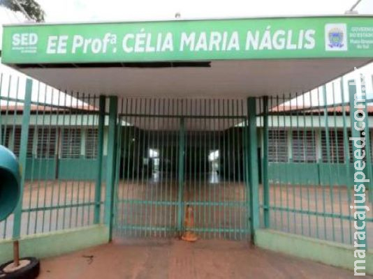 Quase metade dos alunos estão sendo atendidos via internet 