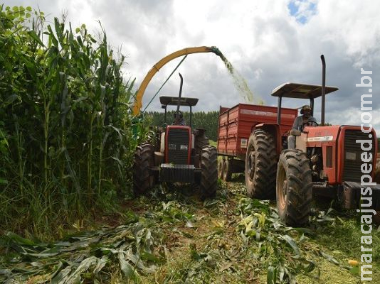 Técnica de movimento e tempo melhora produção de silagem Técnica de movimento e tempo melhora produção de silagem
