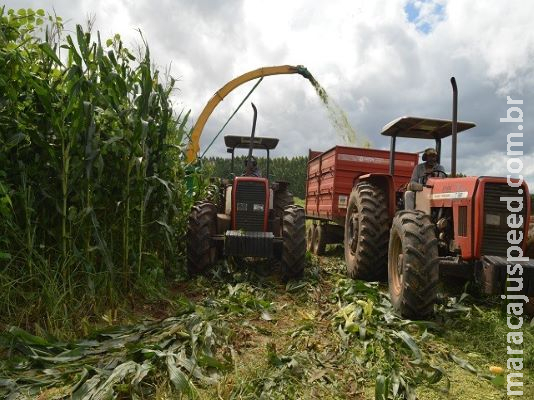 Técnica de movimento e tempo melhora produção de silagem