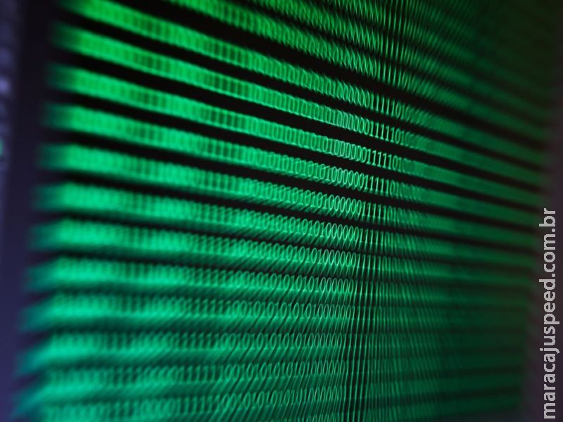 WhatsApp é principal rede de disseminação de fake news sobre covid-19 WhatsApp é principal rede de disseminação de fake news sobre covid-19