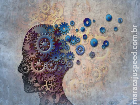 6 tipos de jogos que desenvolvem o cérebro